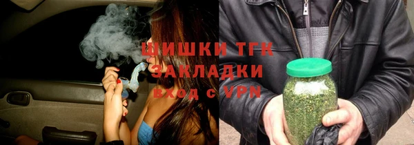 дмт Няндома