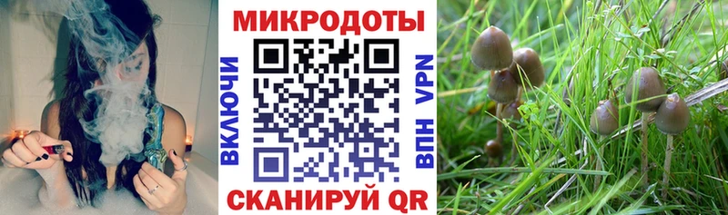 Галлюциногенные грибы мухоморы Уяр